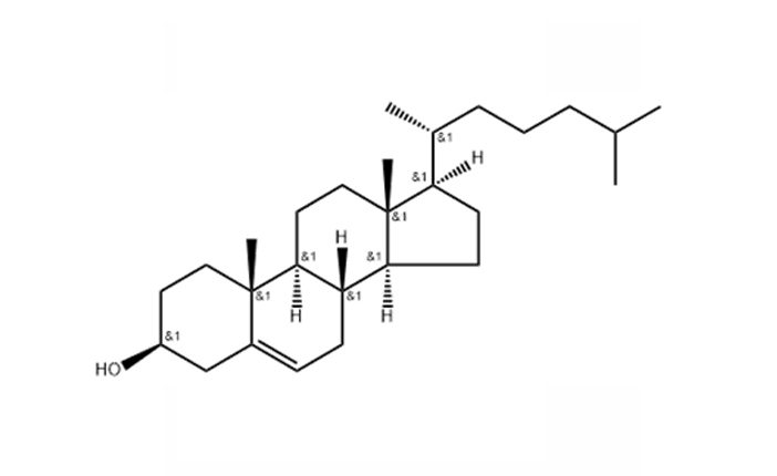 Origin of plant-origin Cholesterol